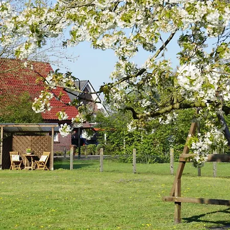 Uhlenflucht * Spelle